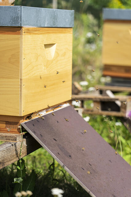 BeeBox